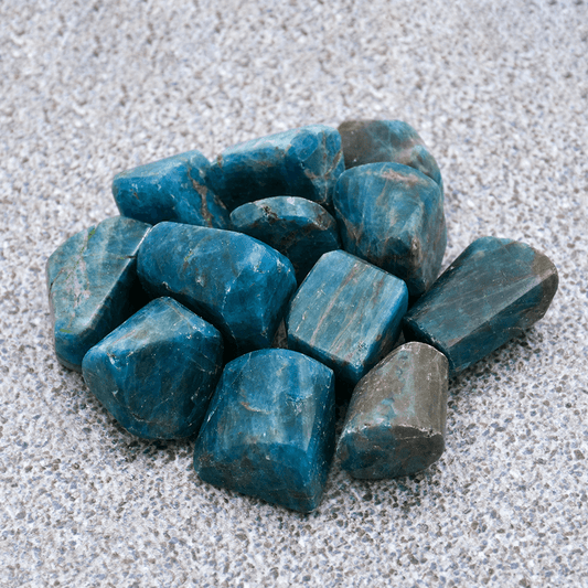 Blue Apitite TUmble